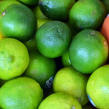 Citrus aurantifolia - Key Lime