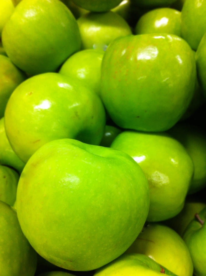 'Granny Smith' Apple - Malus domestica from 93 Nursery and Landscape Supply